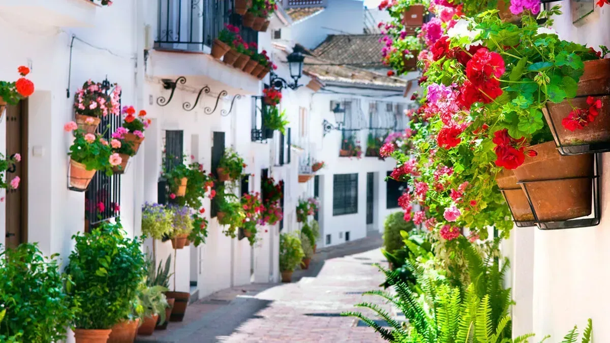 Benalmádena Private Transfer