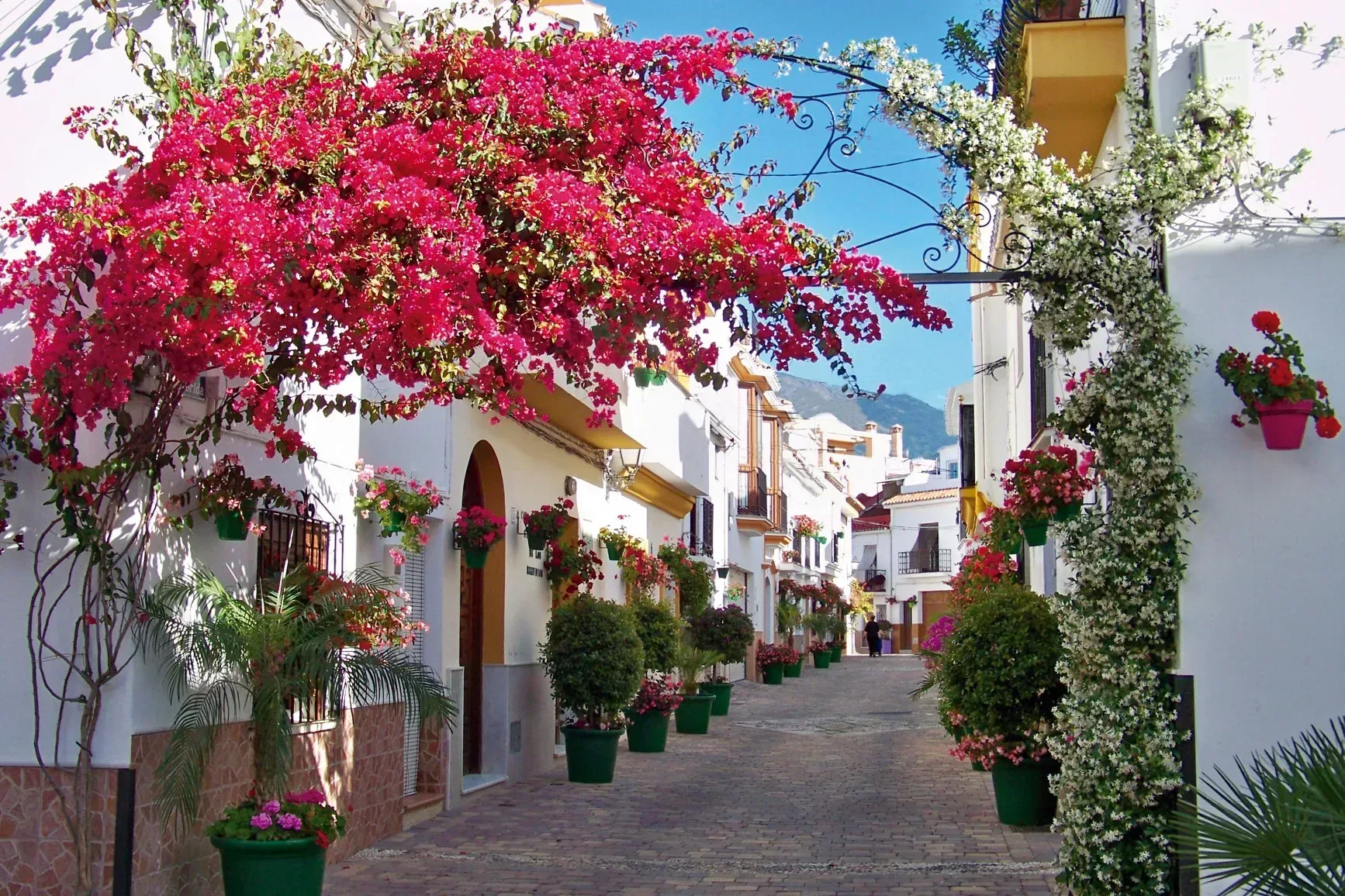 Transporte privado en Estepona