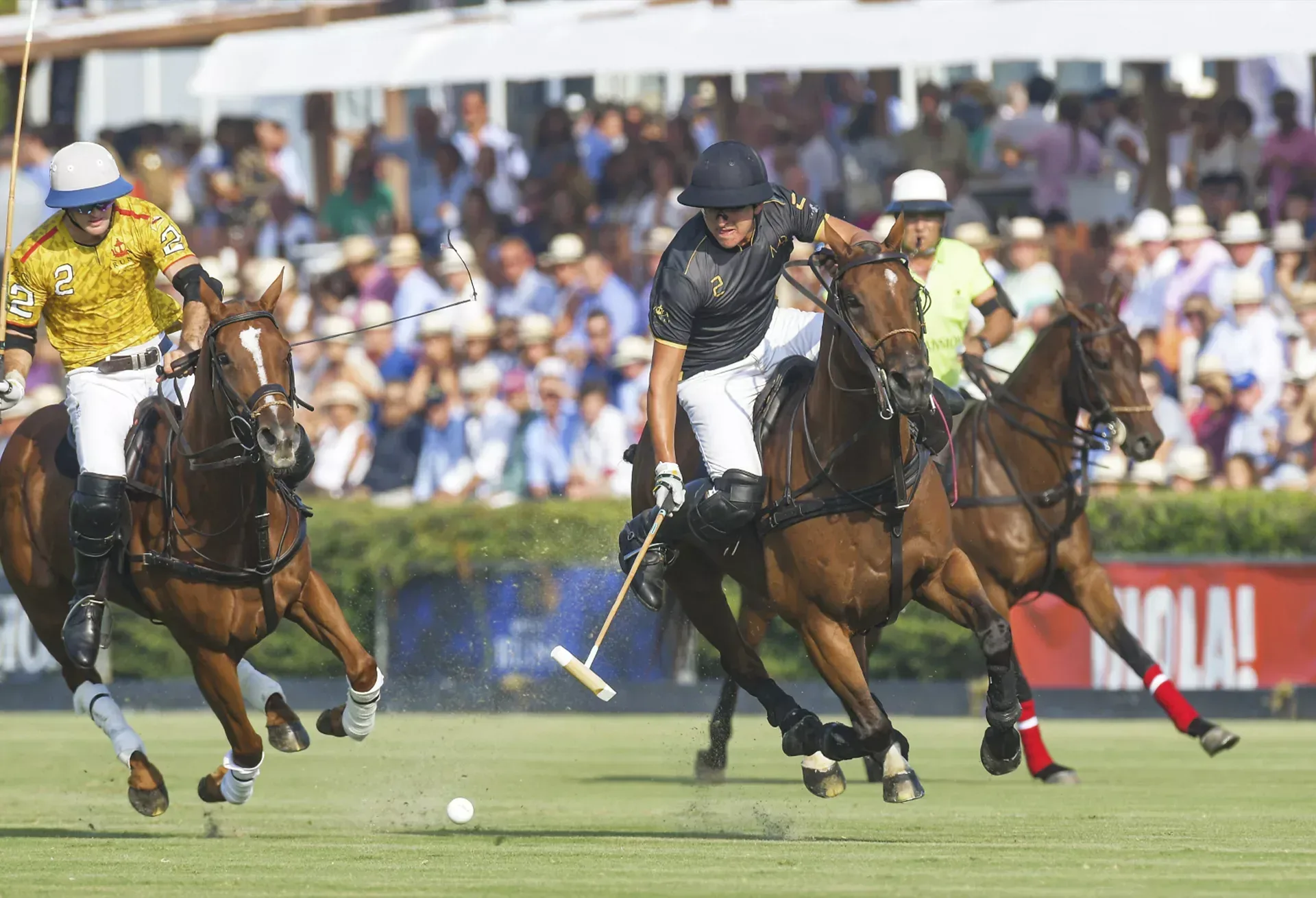 Polo in Sotogrande
