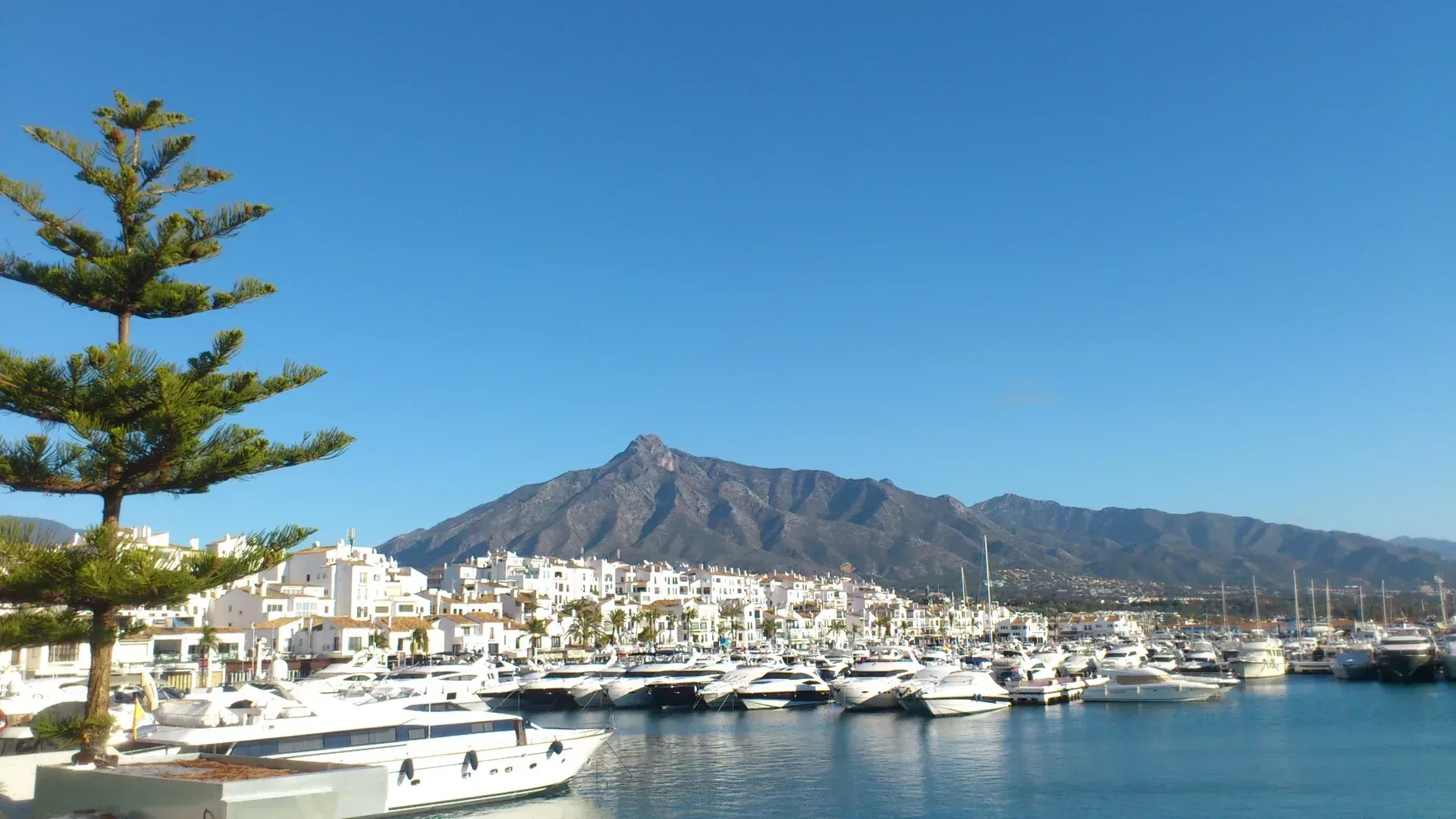 Private Transfer Puerto Banús