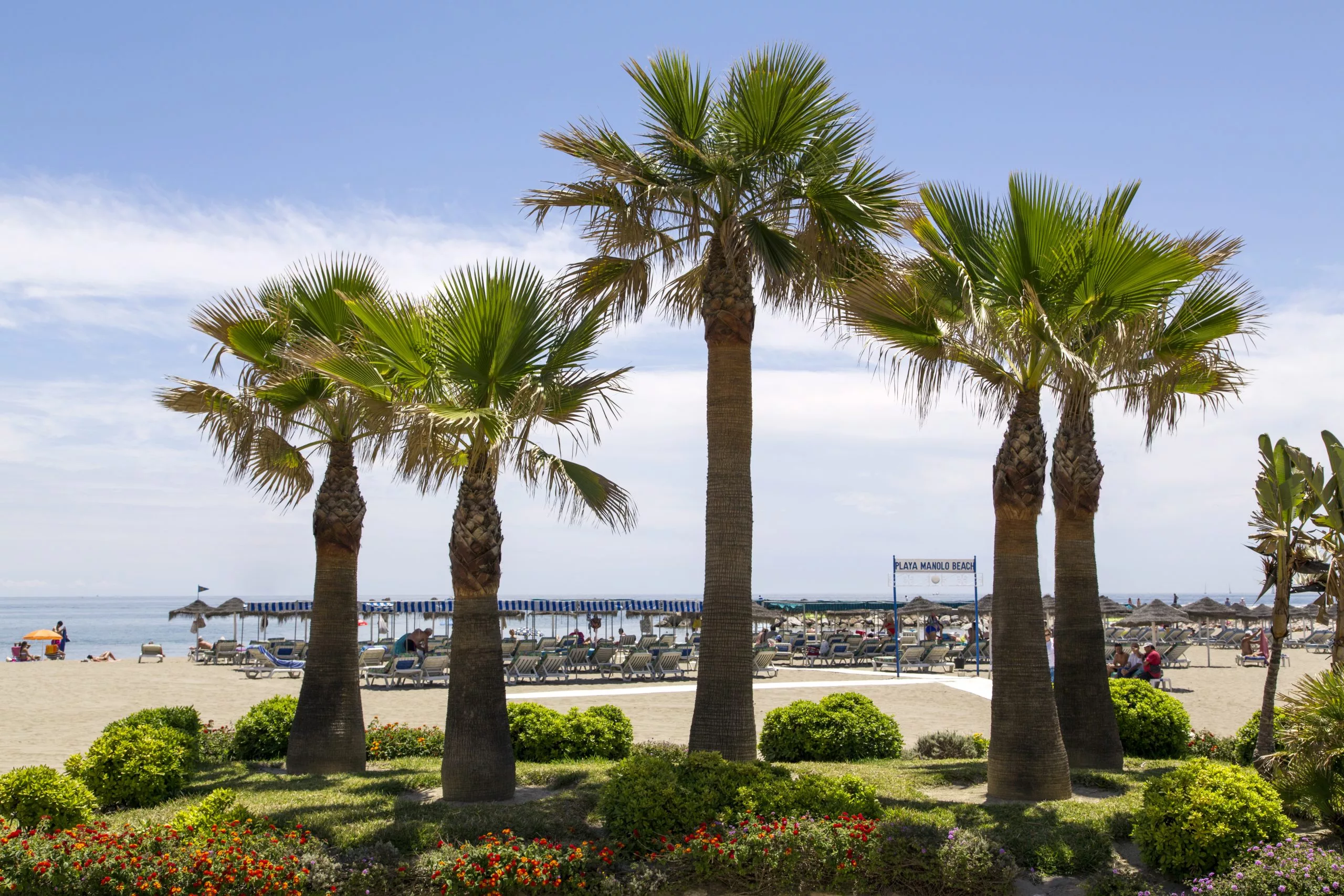 Private Transfer to La Carihuela